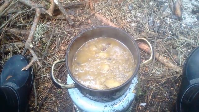 20211027 142940 Прогулка в лес Грибной суп Пустота кастрюли