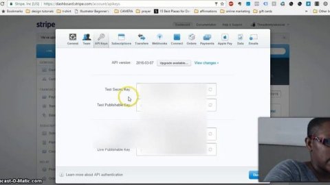 2 Easy 1Up Paypal Payment Alternatives: Stripe and Square