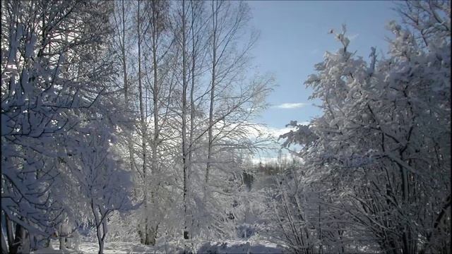 «Полночью, лунной полночью...» Иеромонах Роман.mp4