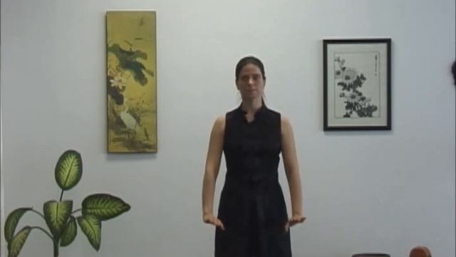 Rising Lotus Medical Qi Gong 1
