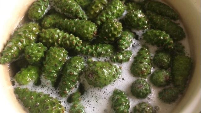 Варенье из сосновых шишек