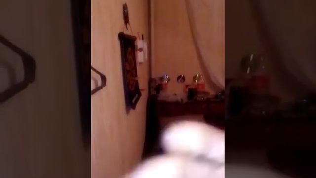 Дима под одеялом