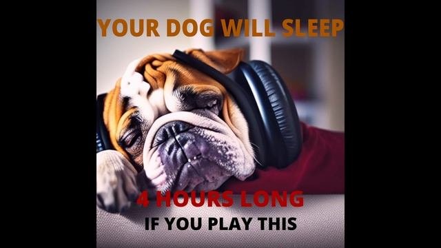 Magic Music For Dogs! INSTANT Relaxation Results!