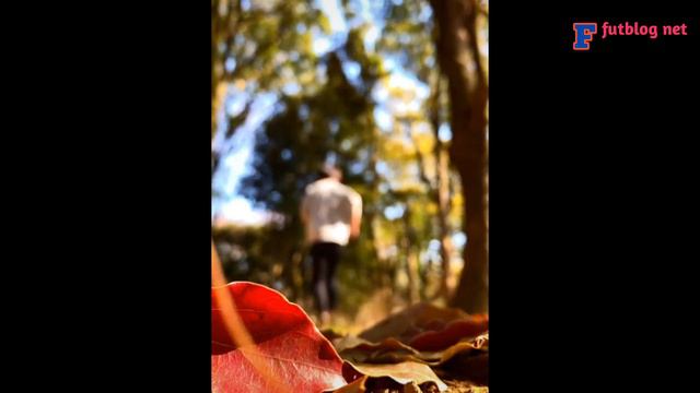 Новые изобретения фотографии, New Inventions photography.