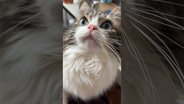 Чтой-то? Гдей-то?