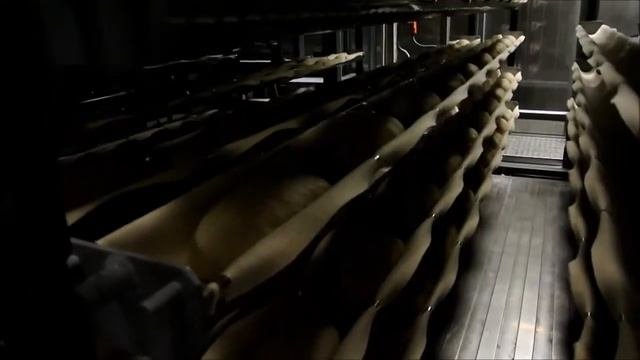 Линия производства батонов