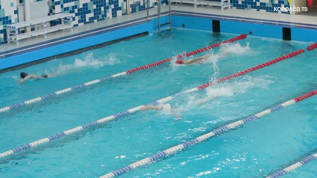 98 спортсменов приняли участие в открытом первенстве по плаванию