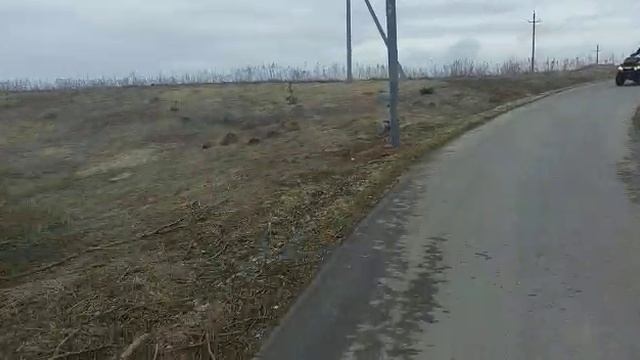 квадро.mp4