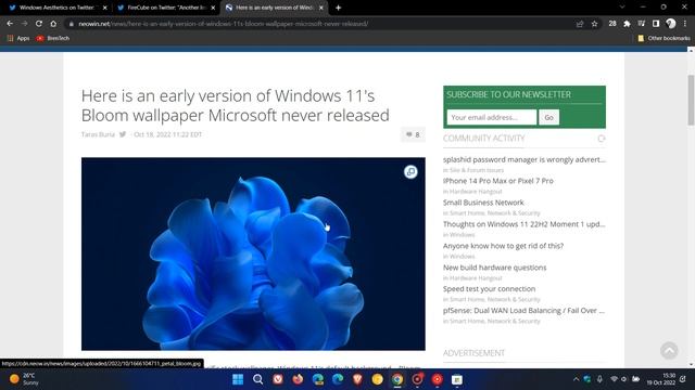 Download the early never released version of the Windows 11 Bloom wallpaper