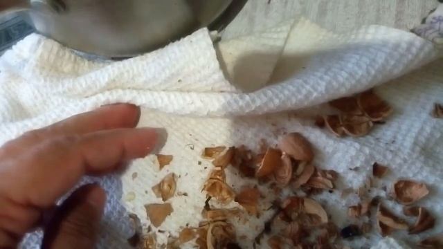 2720 Как легко и чисто колоть орех расколоть орловские грецкие достать ядро лайфхак простой способ