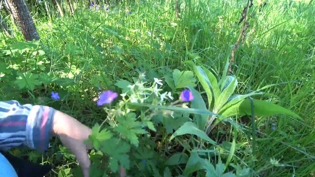 Сначала не было ничего, а потом как попёрло!!!!!!