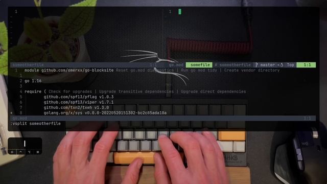 Why Vim Experts Do THIS Instead of Using Tabs...