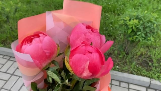 ✔ NEW VLOG: Декор для дома, Радуга, Подарки и Цветы на ДР мамы, Покупки...