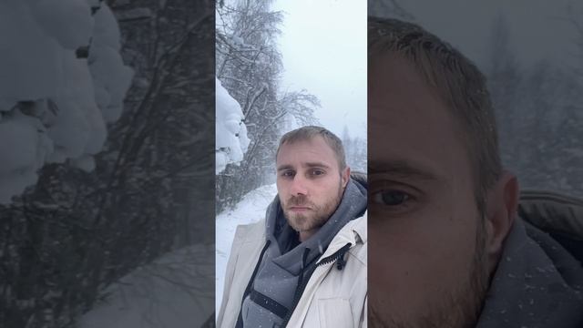 Всем привет из Питера