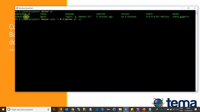 04 Docker ComandosBasicos Stop Start