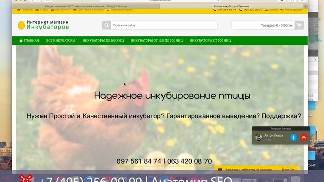 SEO разборка #212 | Интернет-магазин Инкубаторов Украина | Анатомия SEO