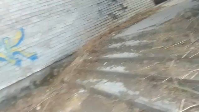 Зачем мы туда пошли? Там очень жутко! Слабонервным не смотреть!!!??