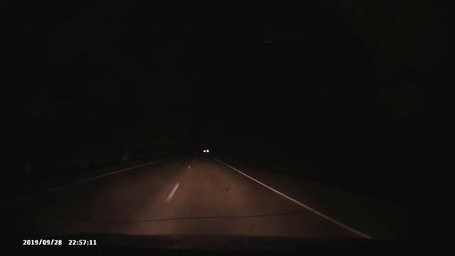 опять что то похожее на лису, с. Русская Халань, Чернянский район, Белгородская область