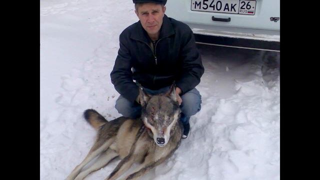 МОИ ТРОФЕИ