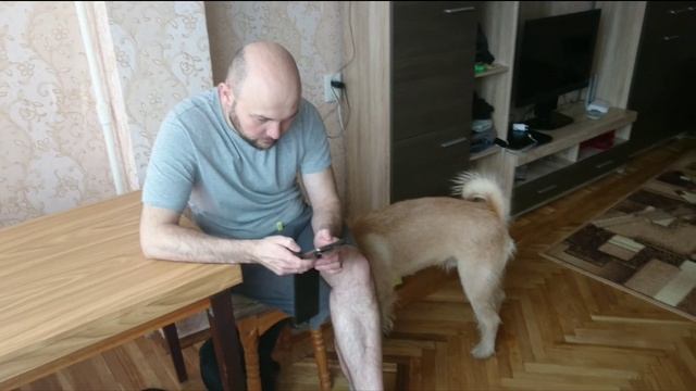 Наша квартира в Киеве