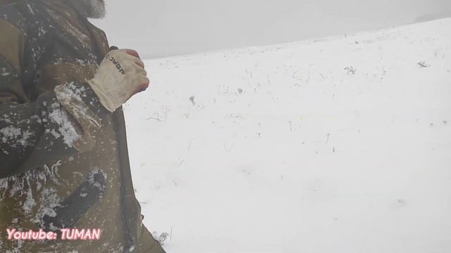 Снежная пурга метель в Чечне. на окраине Леса