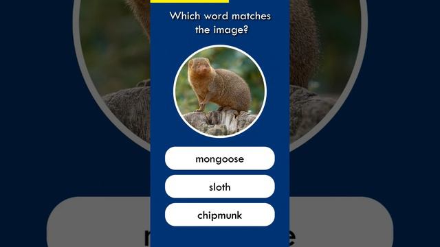 Quiz about Animals