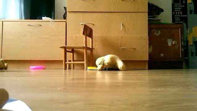 Оригами1 гадалка