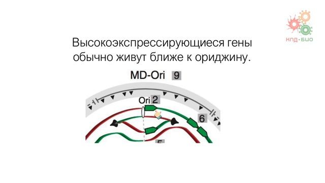 Заключение. Эпилог