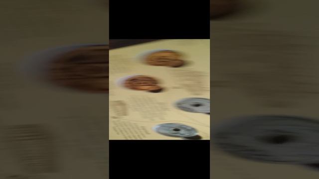 Пятёрочка сокровища 2 альбом