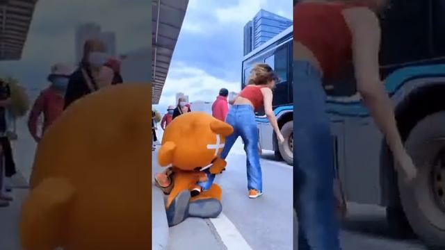Funny Video l Funny Bear ?? P881 #Shorts
