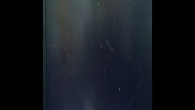 VID20240828115804.mp4