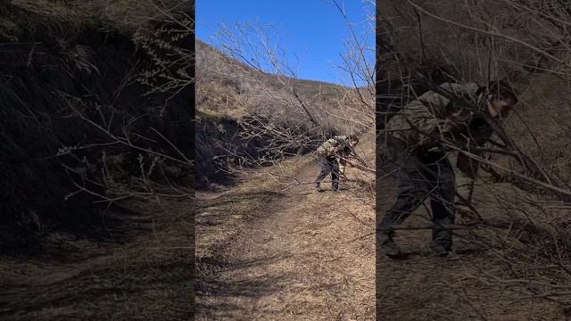 Выжили ли пчелы зимуя под снегом?