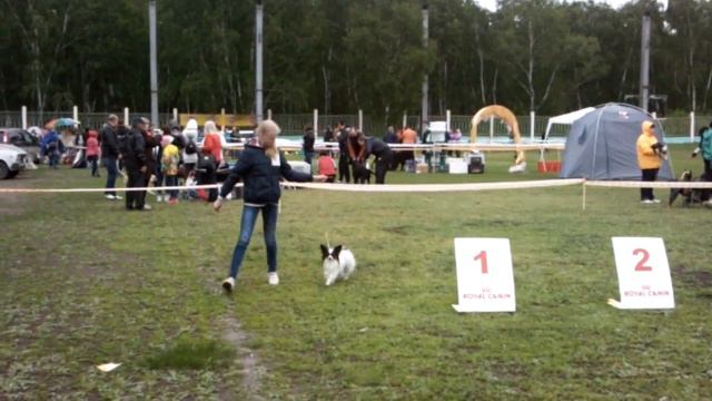 Моно выставка ранга ПК. Омск. 25.05.14