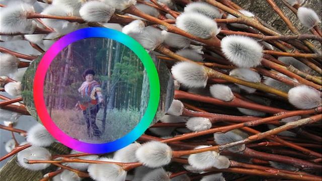 МНЕ ЖИЗНЬ СЧАСТЬЕ ПОДАРИЛА