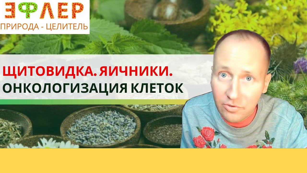 ДЕГЕНЕРАЦИЯ КЛЕТОК – СНИЖЕНИЕ ФУНКЦИОНАЛЬНОСТИ ЩИТОВИДКИ, ЯИЧНИКОВ. КАК БЫТЬ ШАХТЁРАМ БЕЗ МЯСА?