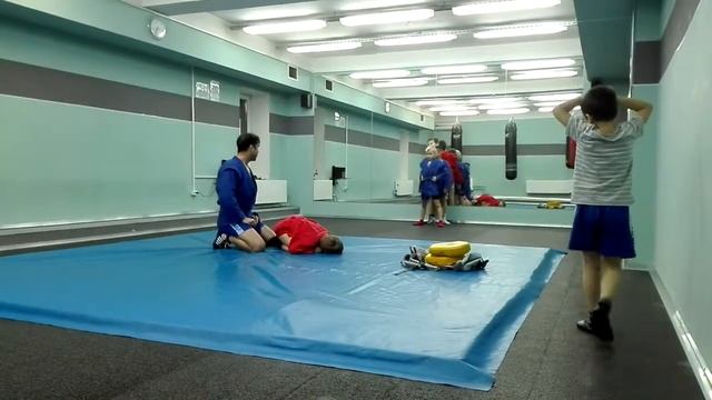 Самбо. Тренировка (1мес). Титаниум.