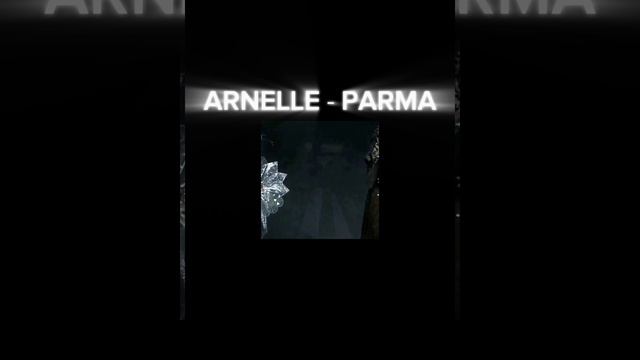 1000003932.mp4