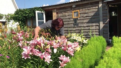 Поп-ит pop it!Пупырка.?Всё своё!Дача 2021 +28 Не до маникюра.Life in the garden.@MineralAs