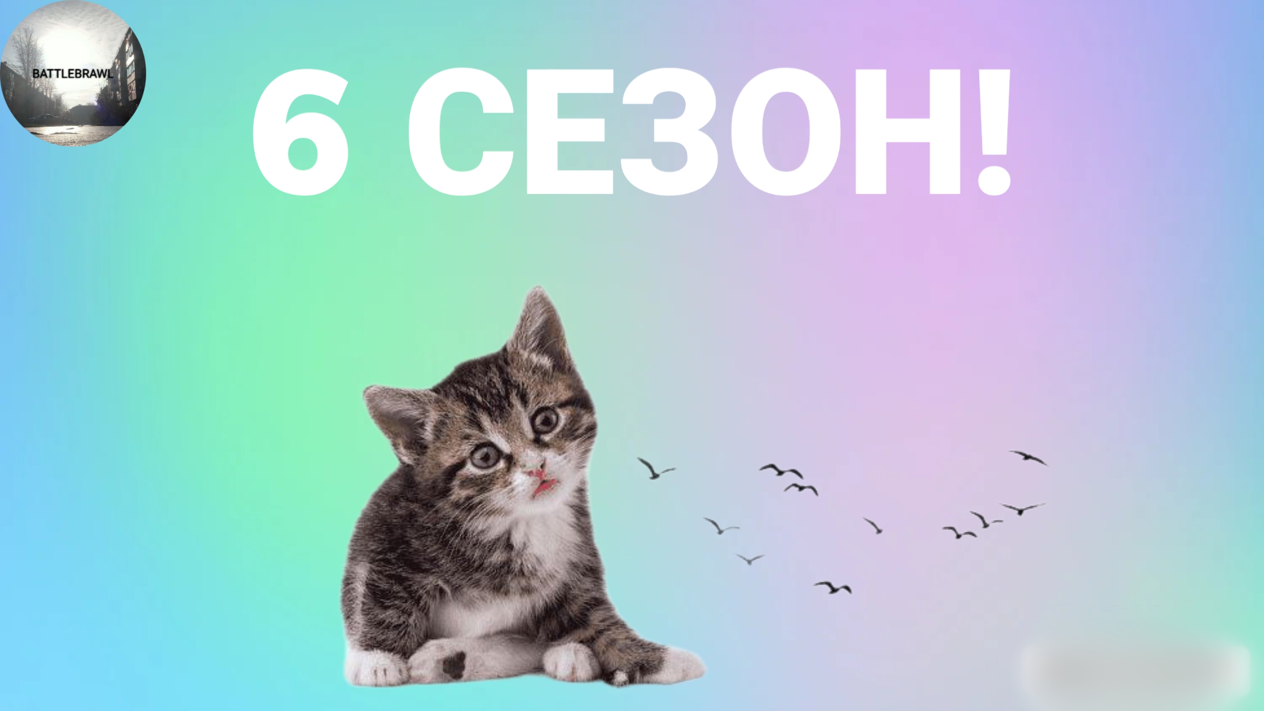 6 СЕЗОН!!