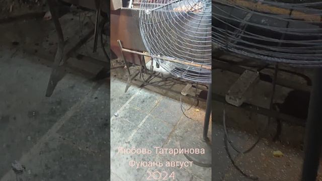 Фуюань август 2024