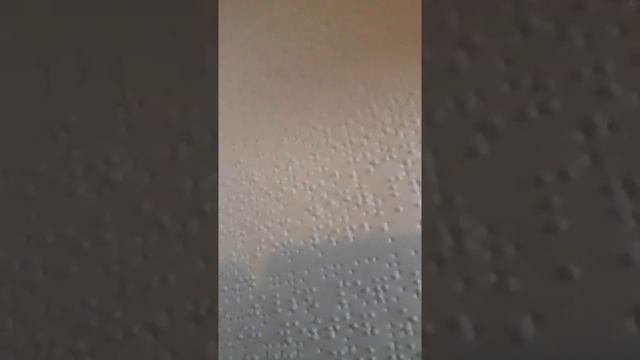 Книги для слепых( по Брайлю).