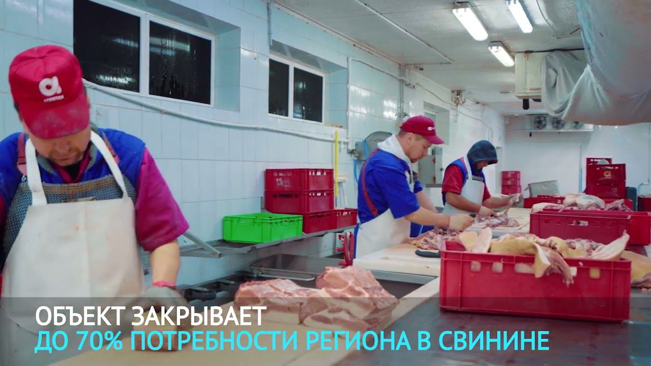 Ролик об открытии свиноводческого комплекса компании Агротек. ТОР Камчатка. 2020