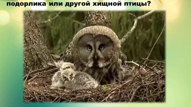 Викторина  
