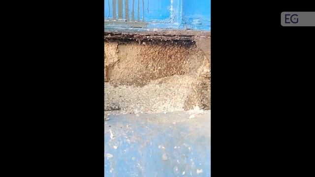 Сеператор для сортировки отходов целлюлозно-бумажного производства ATXZS1/280