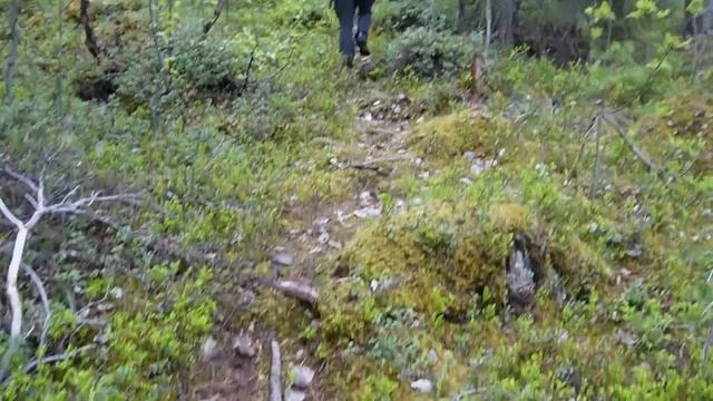 УШЛА В ПОХОД НА СЕВЕР НА 19 ДНЕЙ! СТРАНА БЕЗ ГРАНИЦ. НАЧАЛО. НЕПОХОДНИЦА