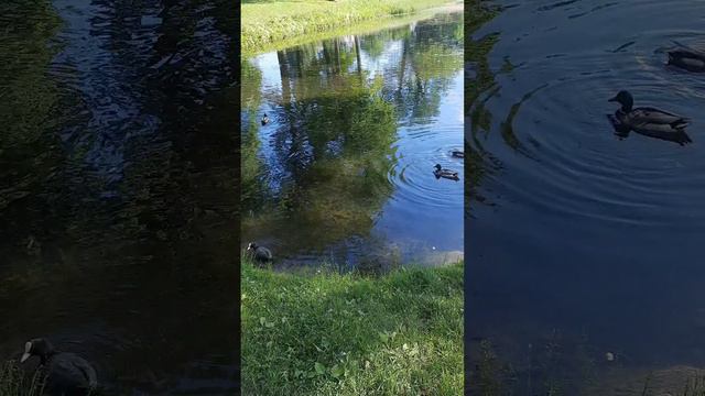 Александровский парк✨