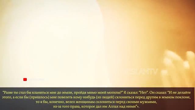 ПОЧЕМУ СПОДВИЖНИК ПОКЛОНИЛСЯ ПРОРОКУ МУХАММАДУ ﷺ КАК ПРОРОК ОТРЕАГИРОВАЛ НА ЭТО?