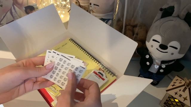Распаковка грита Stray Kids | SKZ 2023 Season’s Greetings Mini World