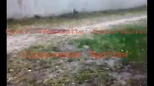 дрессировка собак.das studium черновцы нашы собаки!