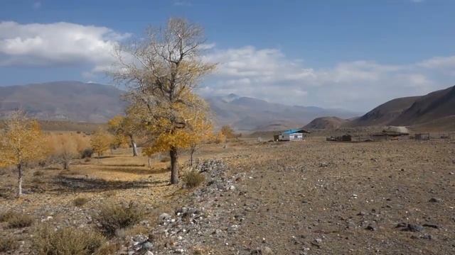 Пленэр в южном Алтае, пос. Кош-Агач, Чуйская степь. 2019
